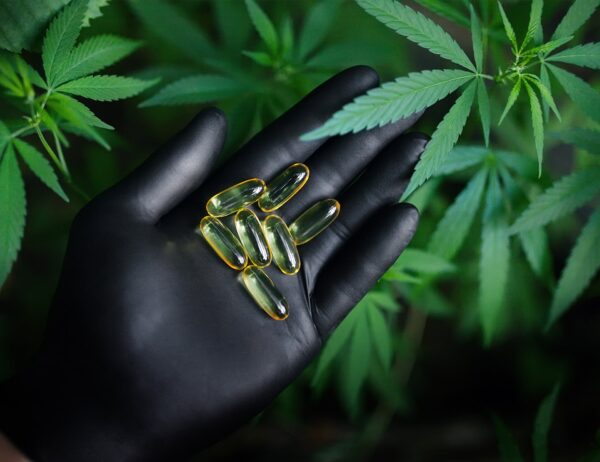 Aromatherapy with Cannabis Essential Oil